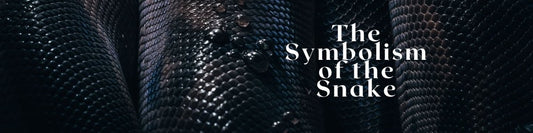 The Symbolism of the Snake: Exploring its Meaning - Everything Pixel