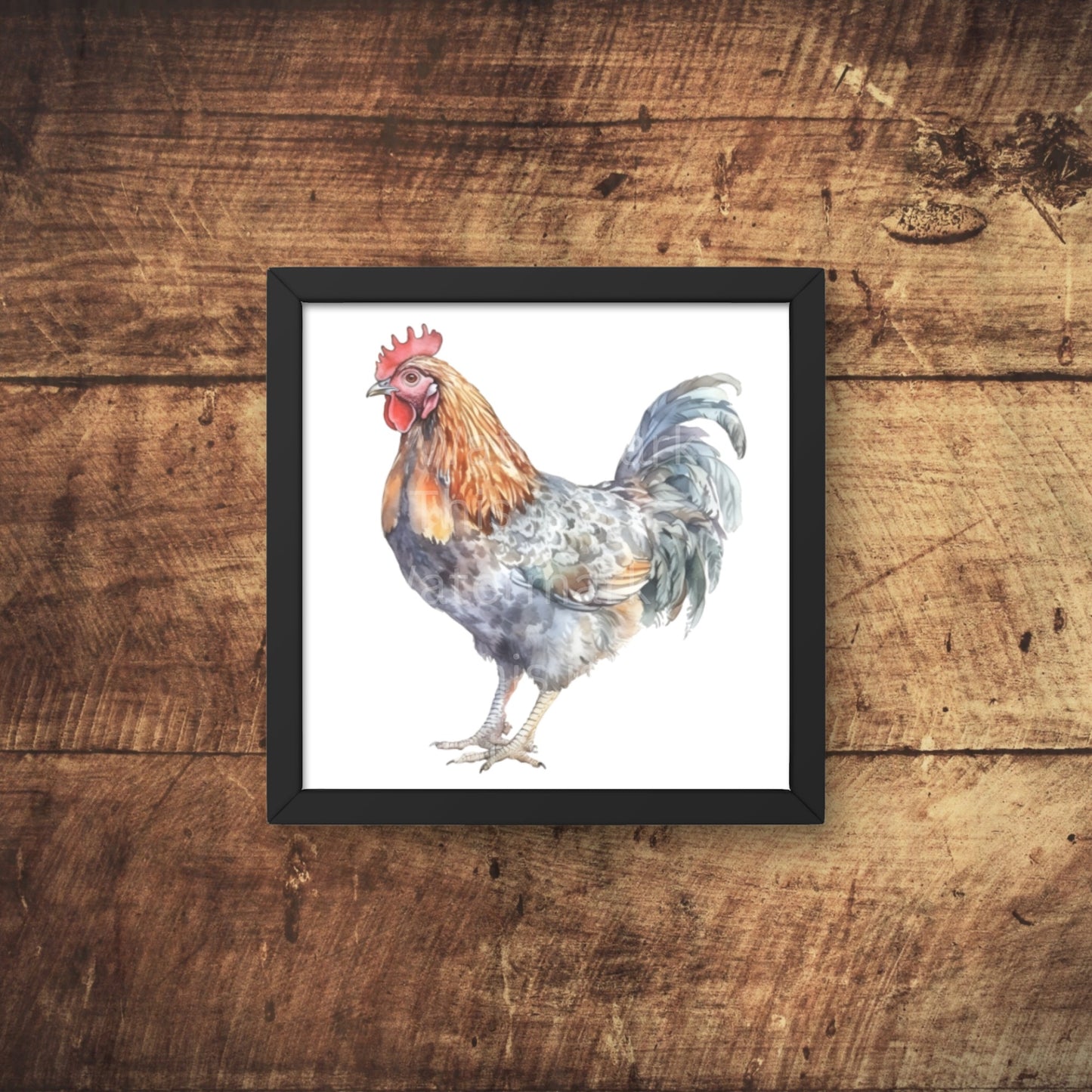 Huhn Aquarell 6+6 PNG Bundle für Sublimation & Clipart