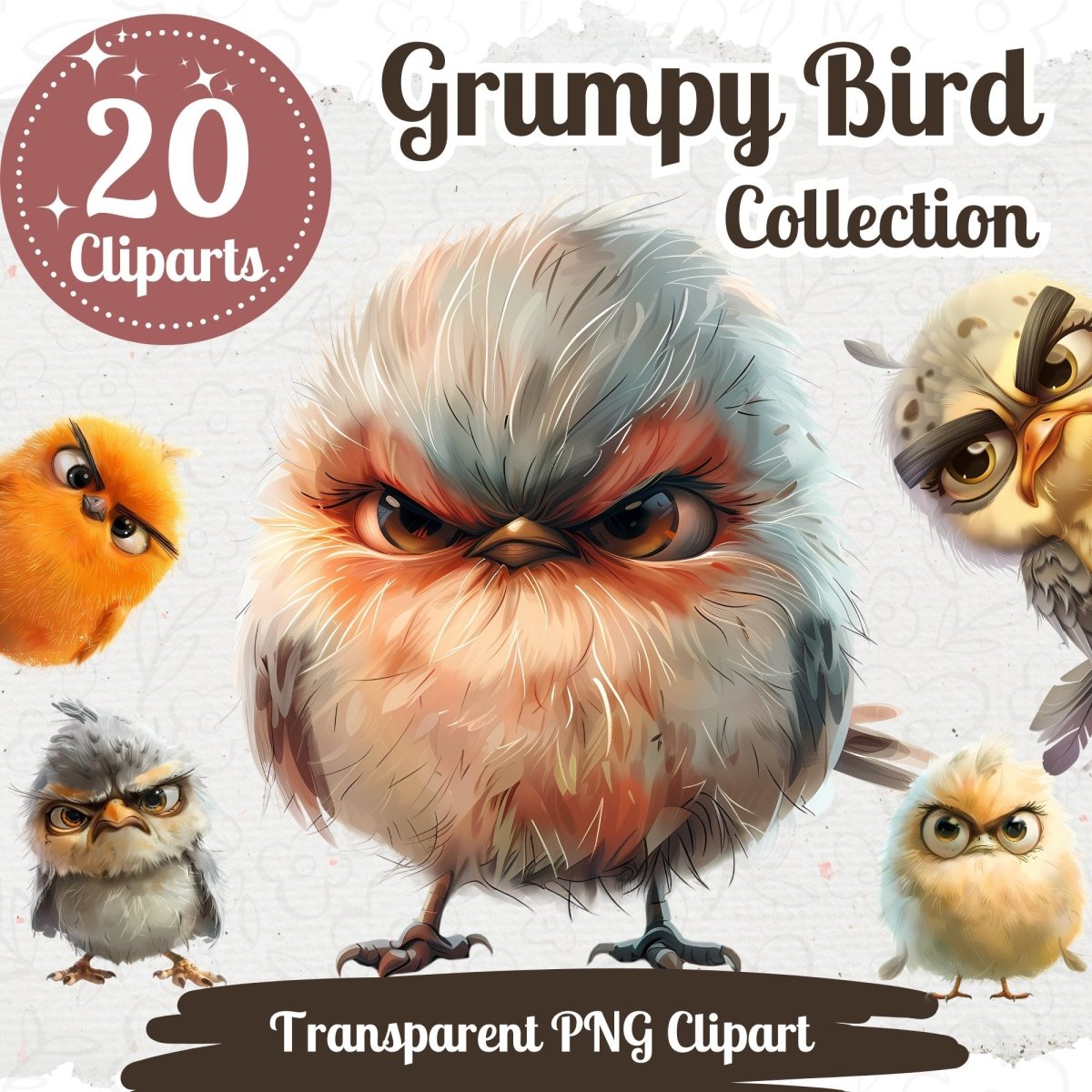 Grumpy Bird Clipart Collection - 20 Transparent PNGs - Funny Cartoon Bird Illustrations - Everything Pixel