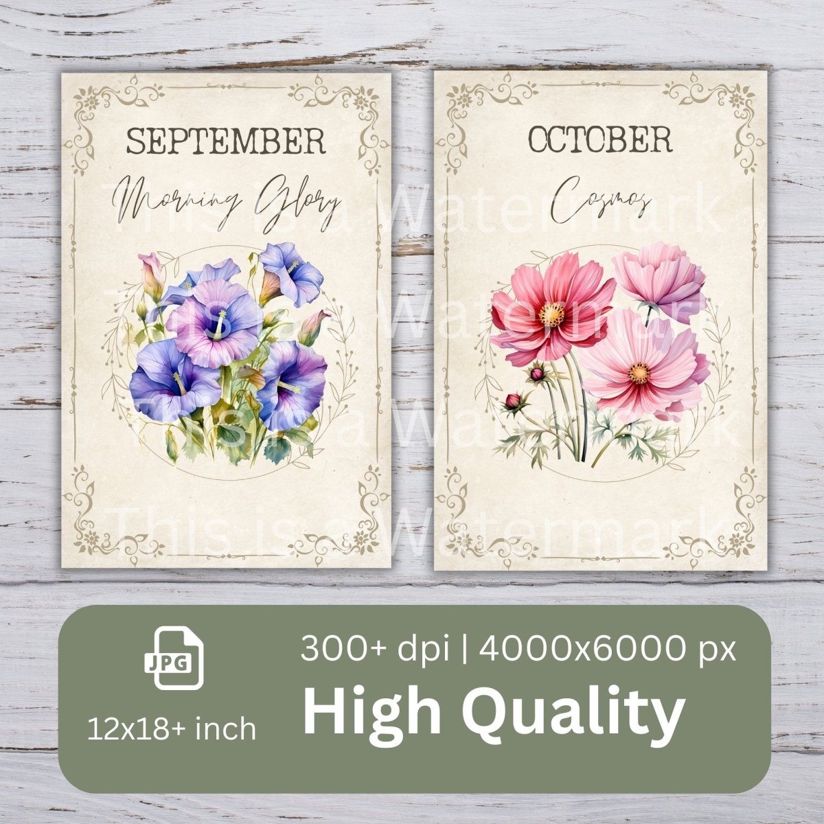 Birth Month Flower Card 12x Digital Paper Clip Art Bundle Watercolor Digital Crafts Design Birthday Print Creator Graphic Botanical Clipart - Everything Pixel