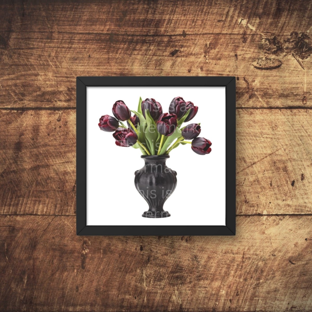 Black Tulips in Vase 6+6 PNG Clipart Bundle, Transparent Background, Photorealistic - Everything Pixel