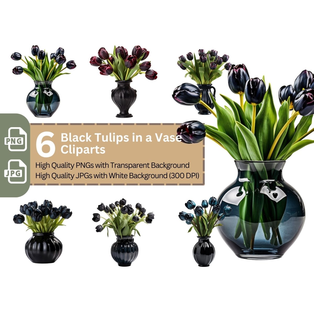 Black Tulips in Vase 6+6 PNG Clipart Bundle, Transparent Background, Photorealistic - Everything Pixel