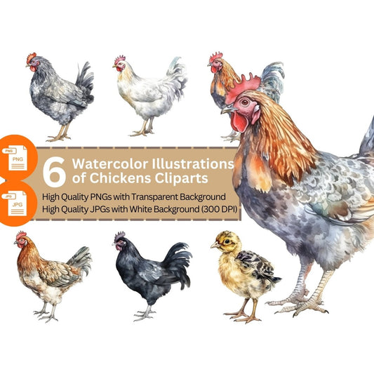 Chicken Watercolor 6+6 PNG Bundle for Sublimation & Clipart - Everything Pixel