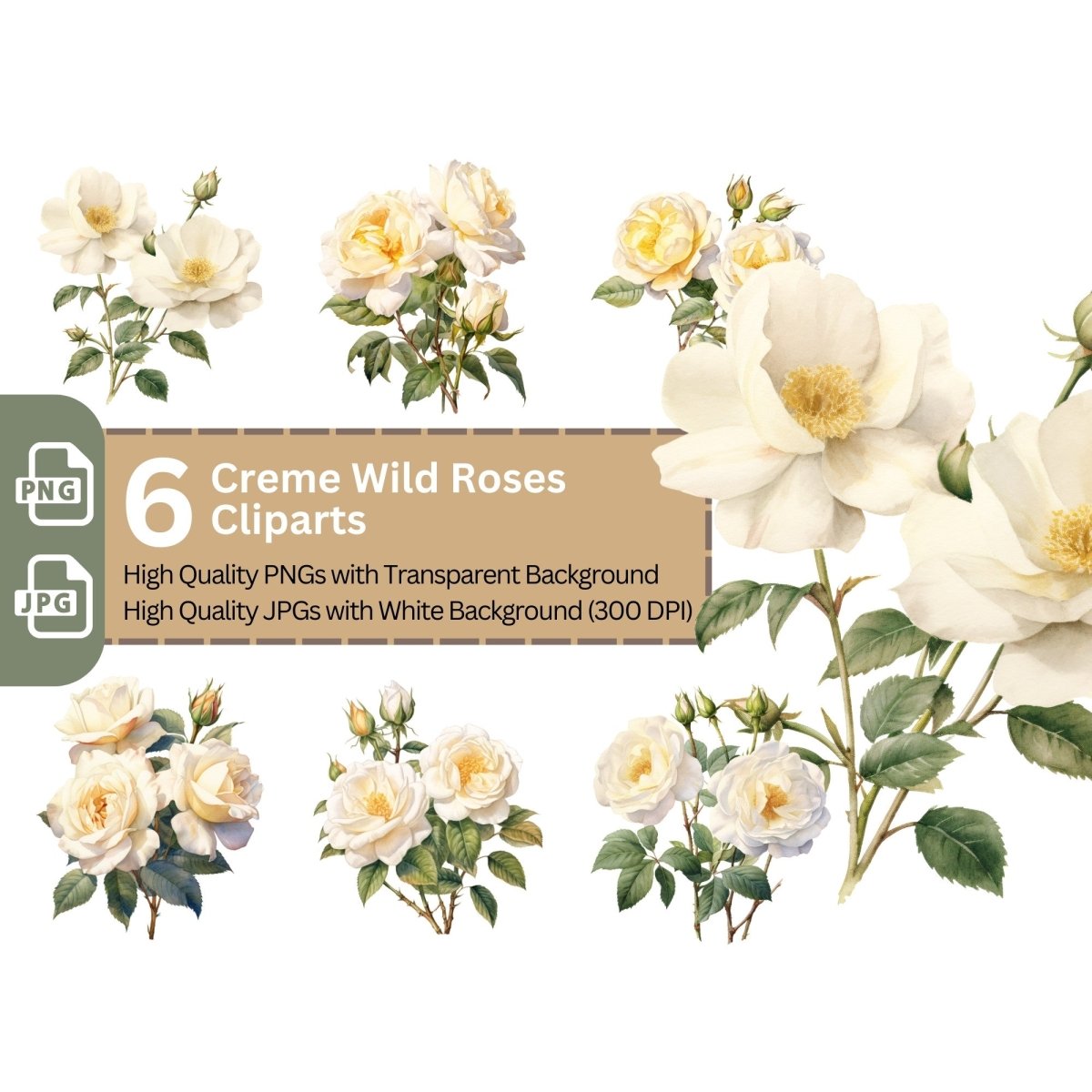 Creme Wild Rose 6+6 PNG Bundle for Sublimation Clipart - Everything Pixel