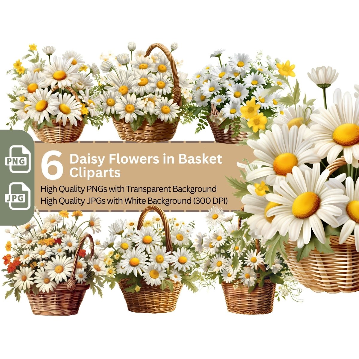 Daisies in Basket 6+6 PNG Clip Art Bundle - Everything Pixel