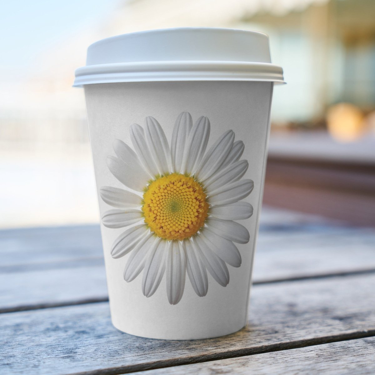 Daisy Blossom PNG Clip Art Bundle for Sublimation Tumbler Card Making Wedding Clipart Mug Scrapbook Paper Craft Floral Graphic Shirt Design - Everything Pixel