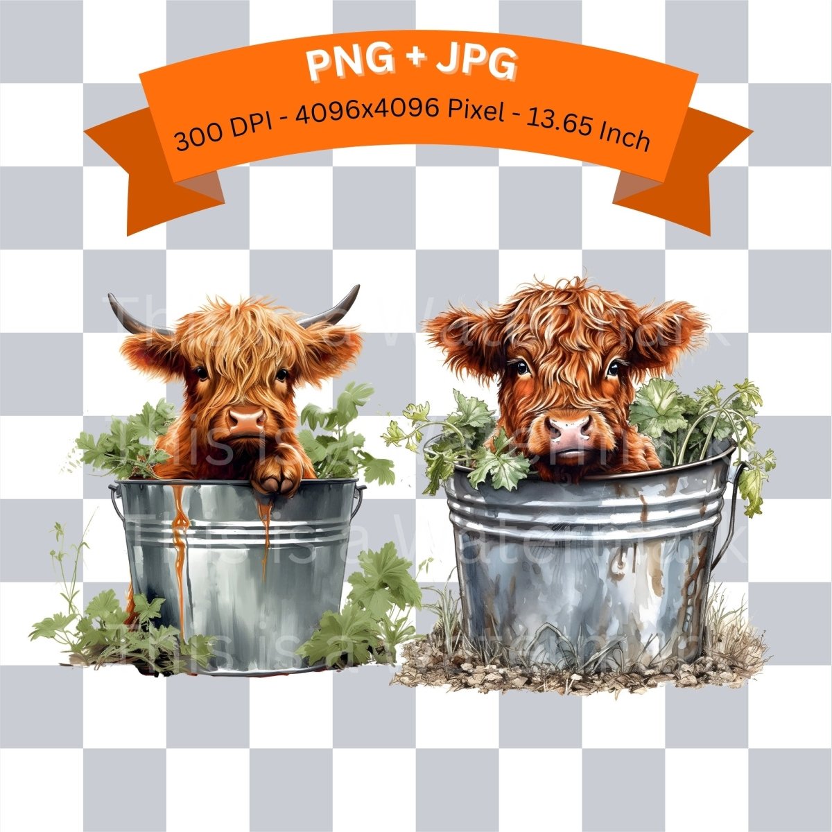 Highland Cows in Metal Bucket 6+6 PNG Bundle for Sublimation & Clipart - Everything Pixel