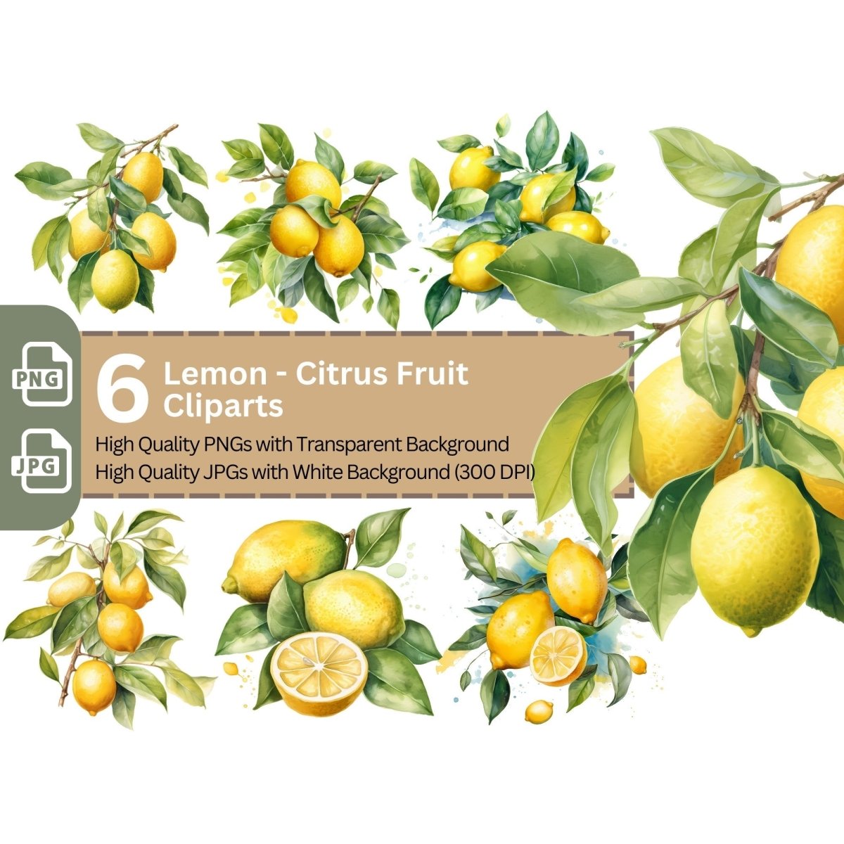 Lemon Citrus Fruit Clipart 6+6 High Quality PNGs Bundle - Everything Pixel