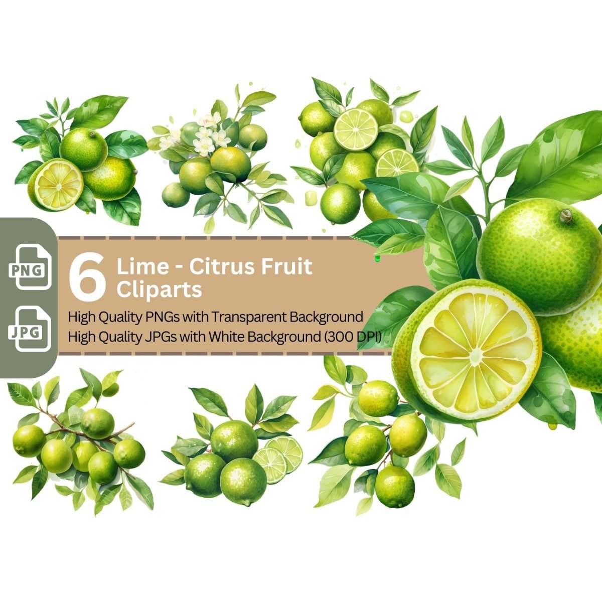 Lime Citrus Fruit Clipart 6+6 High Quality PNGs Bundle - Everything Pixel