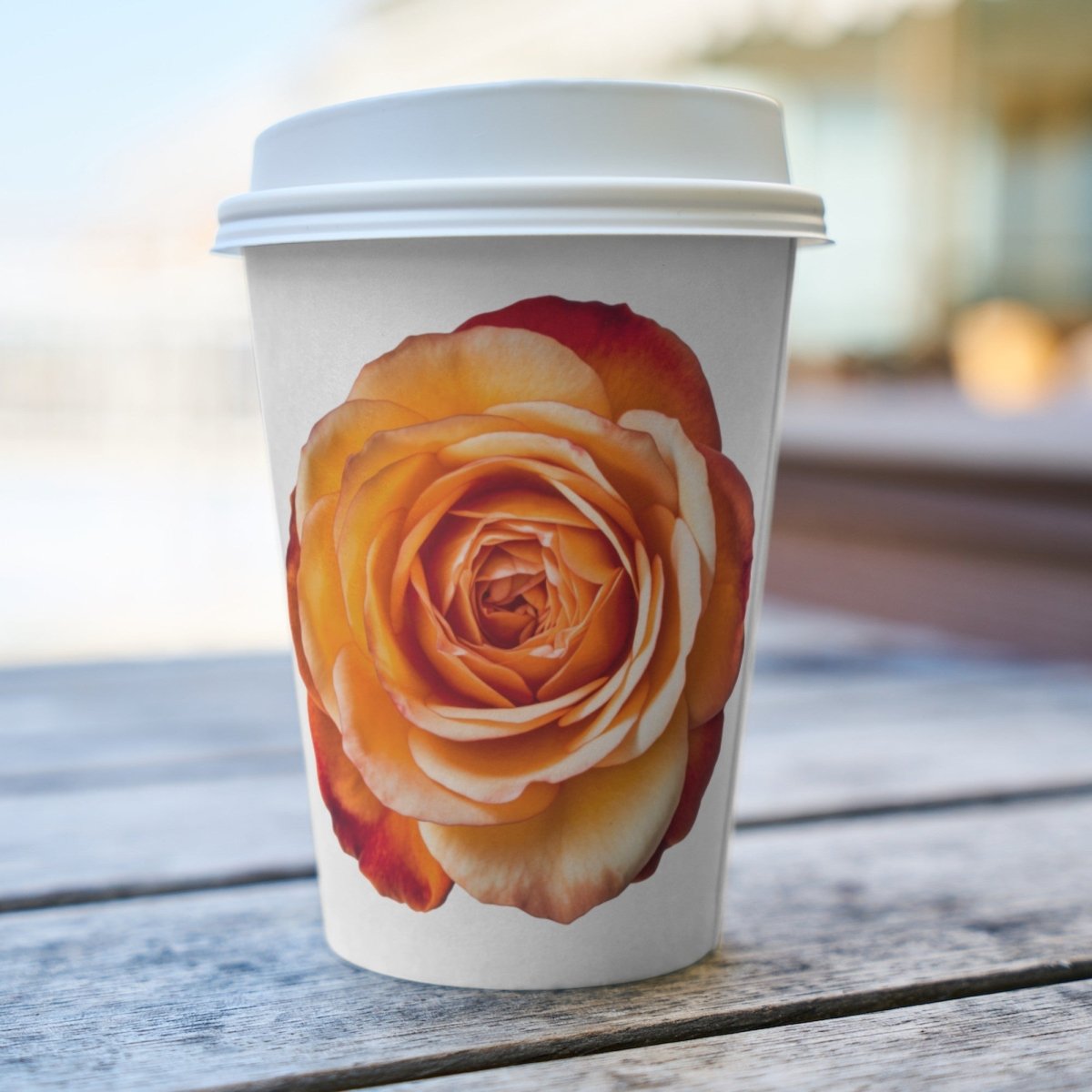 Orange Rose Blossom PNG Bundle for Sublimation Clipart Bundle Transparent Background Wedding Clipart Mug Digital Download Commercial Use - Everything Pixel