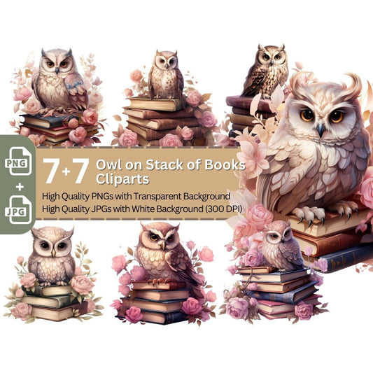Owl on Stack of Books Clipart 7+7 High Quality PNGs Bundle Boho - Everything Pixel