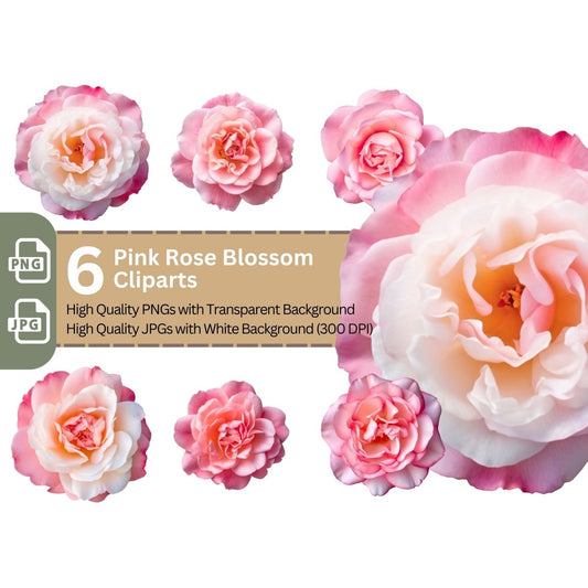 Pink Rose Blossom 6+6 PNG Bundle for Sublimation Clipart - Everything Pixel
