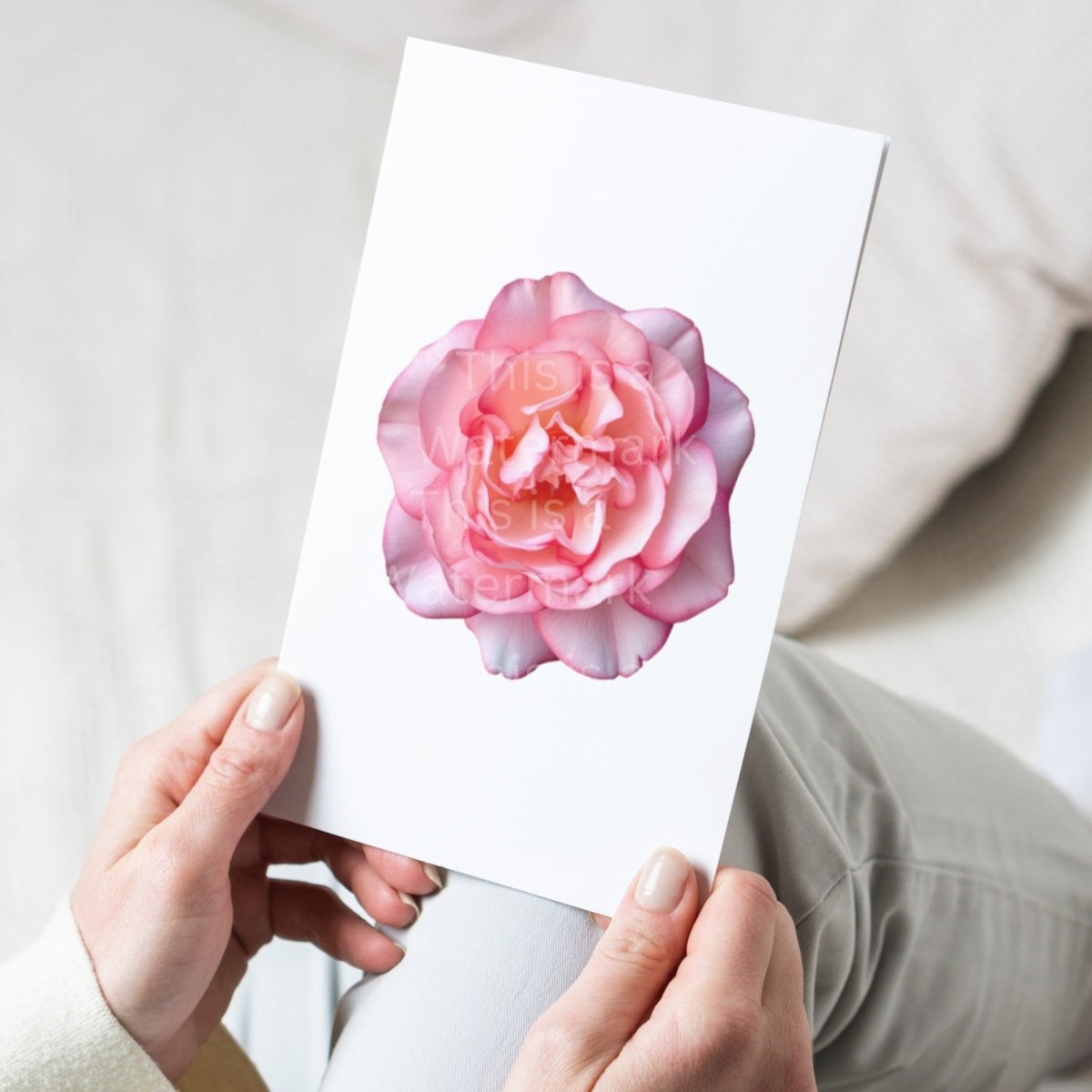 Pink Rose Blossom PNG Bundle for Sublimation Clipart Bundle Transparent Background Wedding Clipart Mug Digital Download Commercial Use - Everything Pixel