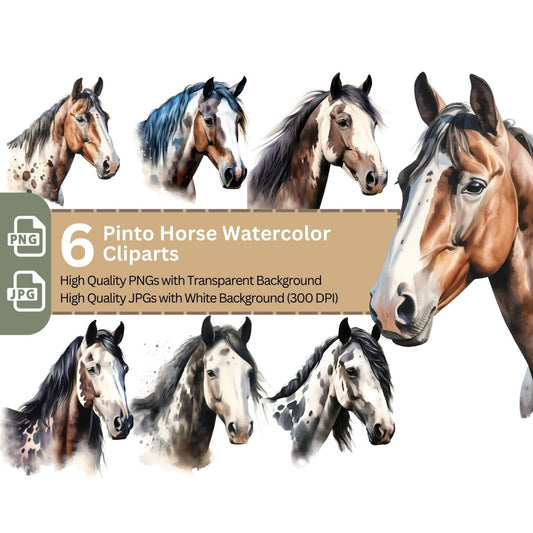 Pinto Horse Cliparts 6+6 High Quality PNGs Animal Clipart - Everything Pixel