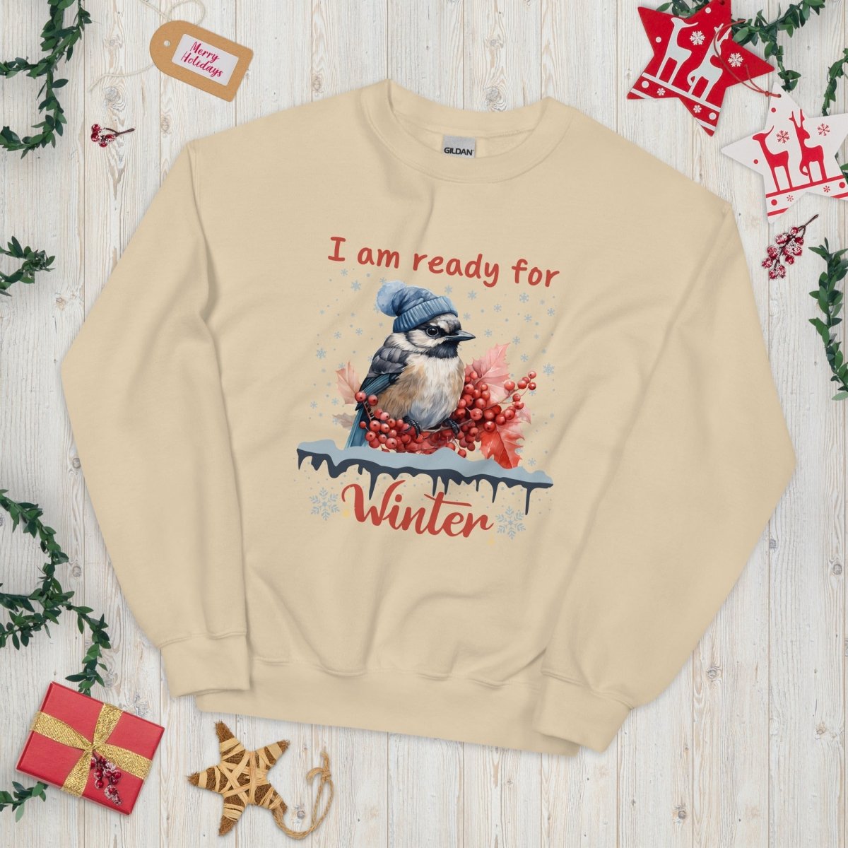 Ready for Winter Sweater - High Quality Funny Cute Bird Sweatshirt, Funny Gift for Bird Lover, Bird with Bobble Hat, Winter Season Pullover - Everything Pixel