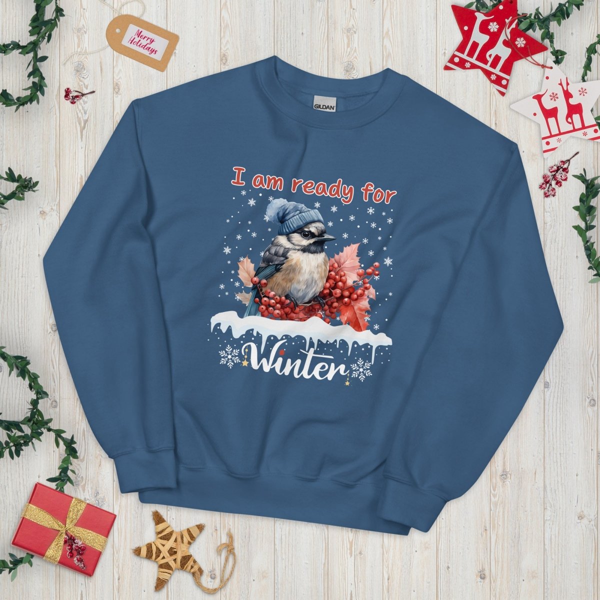 Ready for Winter Sweater - High Quality Funny Cute Bird Sweatshirt, Funny Gift for Bird Lover, Bird with Bobble Hat, Winter Season Pullover - Everything Pixel
