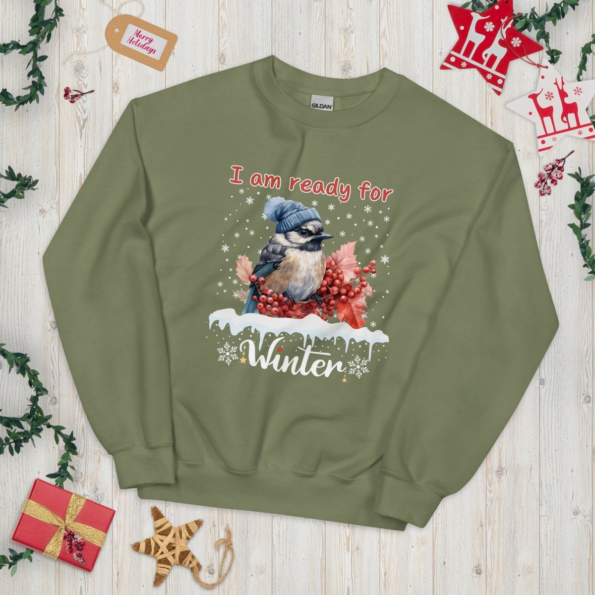 Ready for Winter Sweater - High Quality Funny Cute Bird Sweatshirt, Funny Gift for Bird Lover, Bird with Bobble Hat, Winter Season Pullover - Everything Pixel