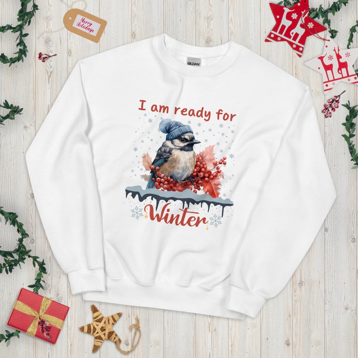 Ready for Winter Sweater - High Quality Funny Cute Bird Sweatshirt, Funny Gift for Bird Lover, Bird with Bobble Hat, Winter Season Pullover - Everything Pixel