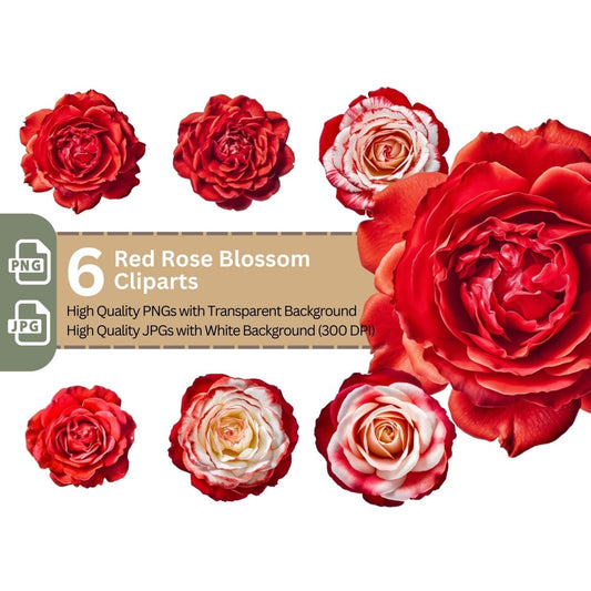 Red Rose Blossom 6+6 PNG Bundle for Sublimation Clipart - Everything Pixel
