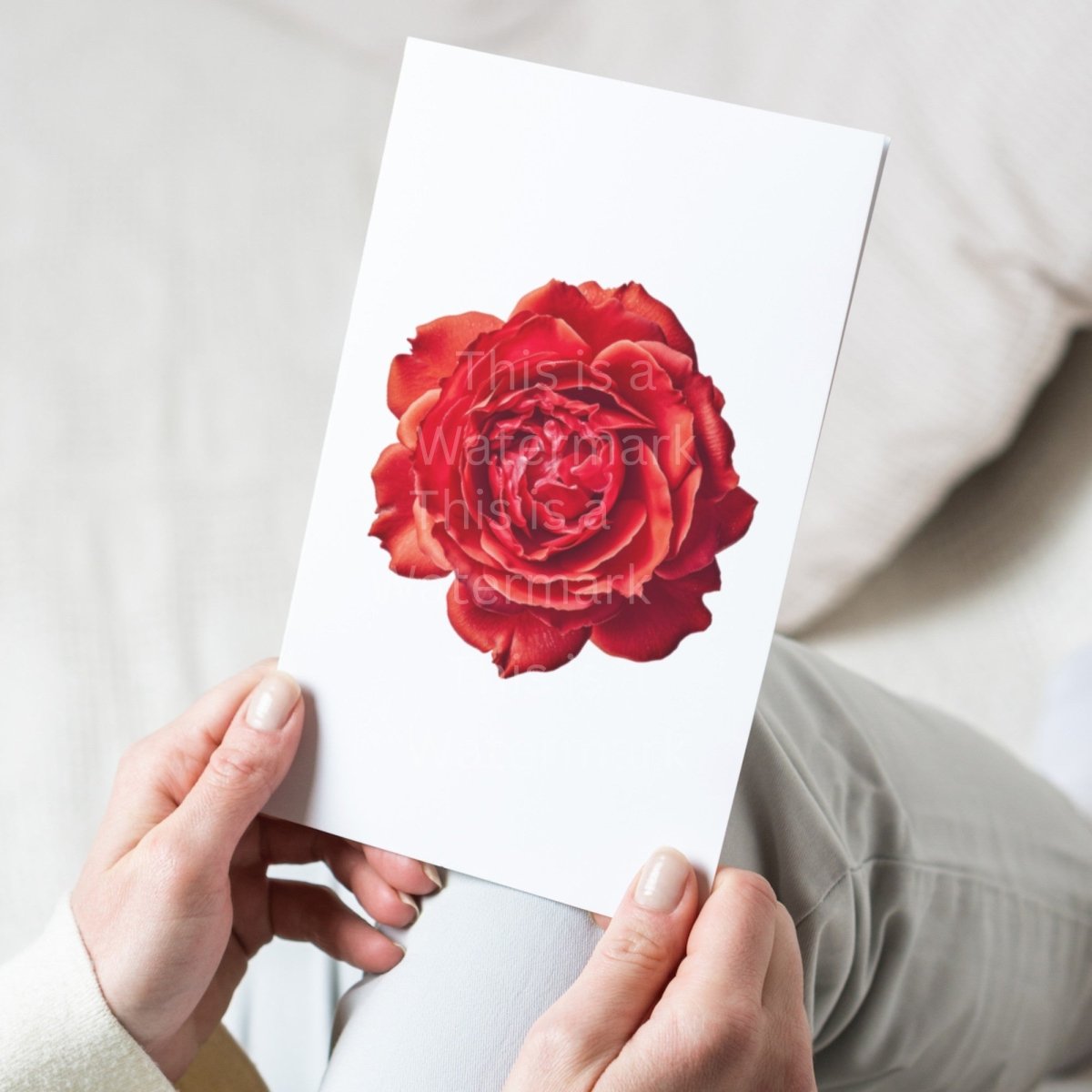 Red Rose Blossom PNG Bundle for Sublimation Clipart Bundle Transparent Background Wedding Clipart Mug Digital Download Commercial Use - Everything Pixel
