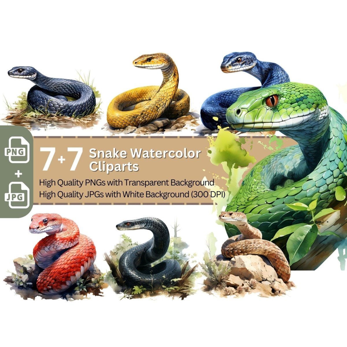 Snakes 7+7 PNG Clipart Bundle Animal - Everything Pixel