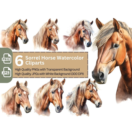 Sorrel Horse Cliparts 6+6 High Quality PNGs Animal Clipart - Everything Pixel