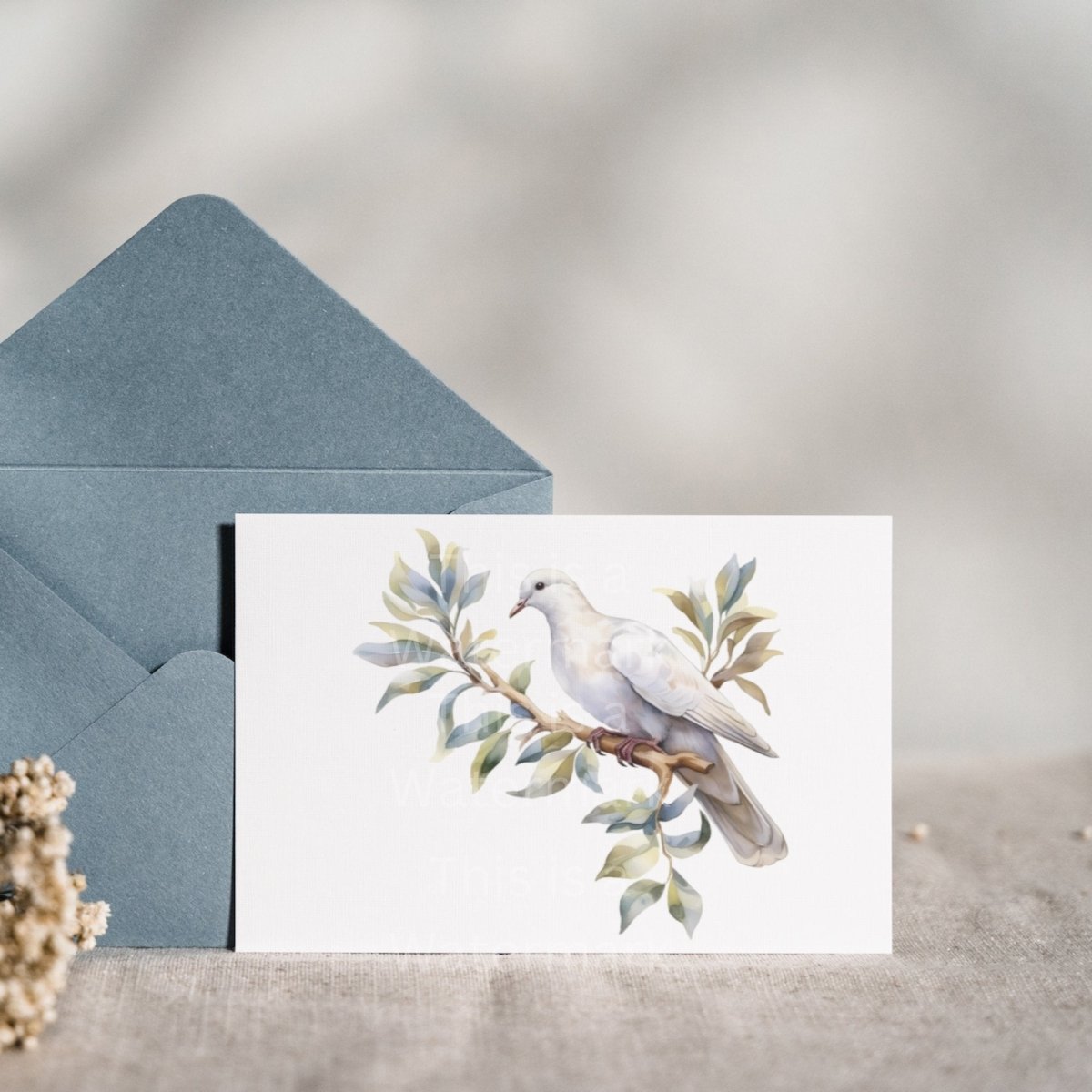 White Dove Watercolor 6x PNG Clip Art Bundle Scrapbook Design Card Making Paper Crafting Wedding Invitation T-Shirt Clipart Christian Peace - Everything Pixel