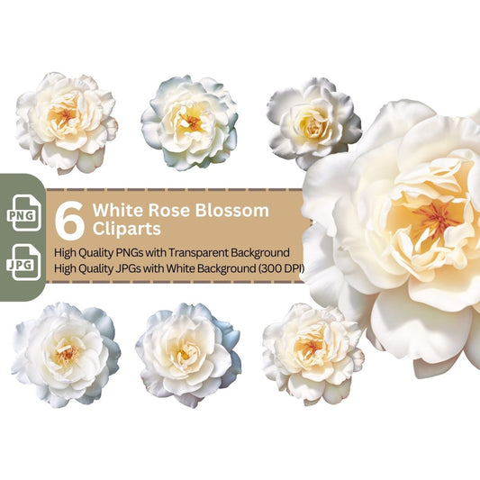 White Rose Blossom 6+6 PNG Bundle for Sublimation Clipart - Everything Pixel