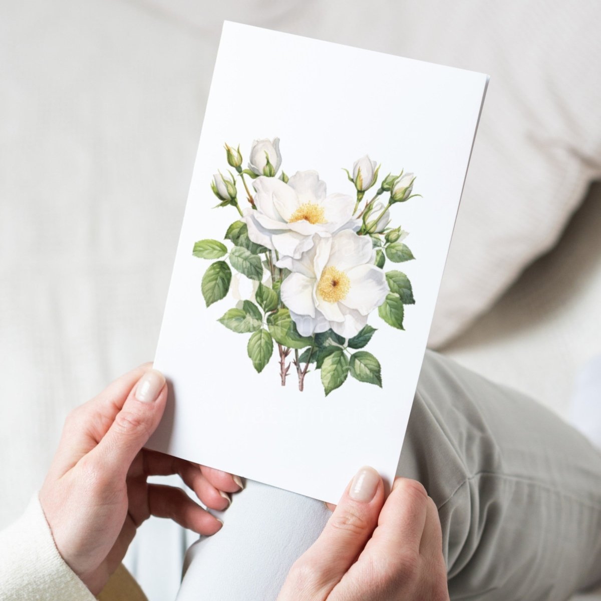 White Wild Rose PNG Bundle for Sublimation Clipart Bundle Transparent Background Wedding Clipart Mug Digital Download Commercial Use - Everything Pixel