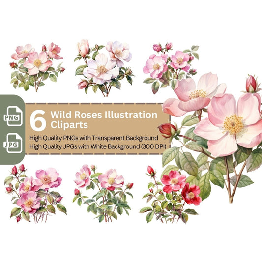 Wild Rose 6+6 Watercolor PNG Bundle for Sublimation Clipart - Everything Pixel