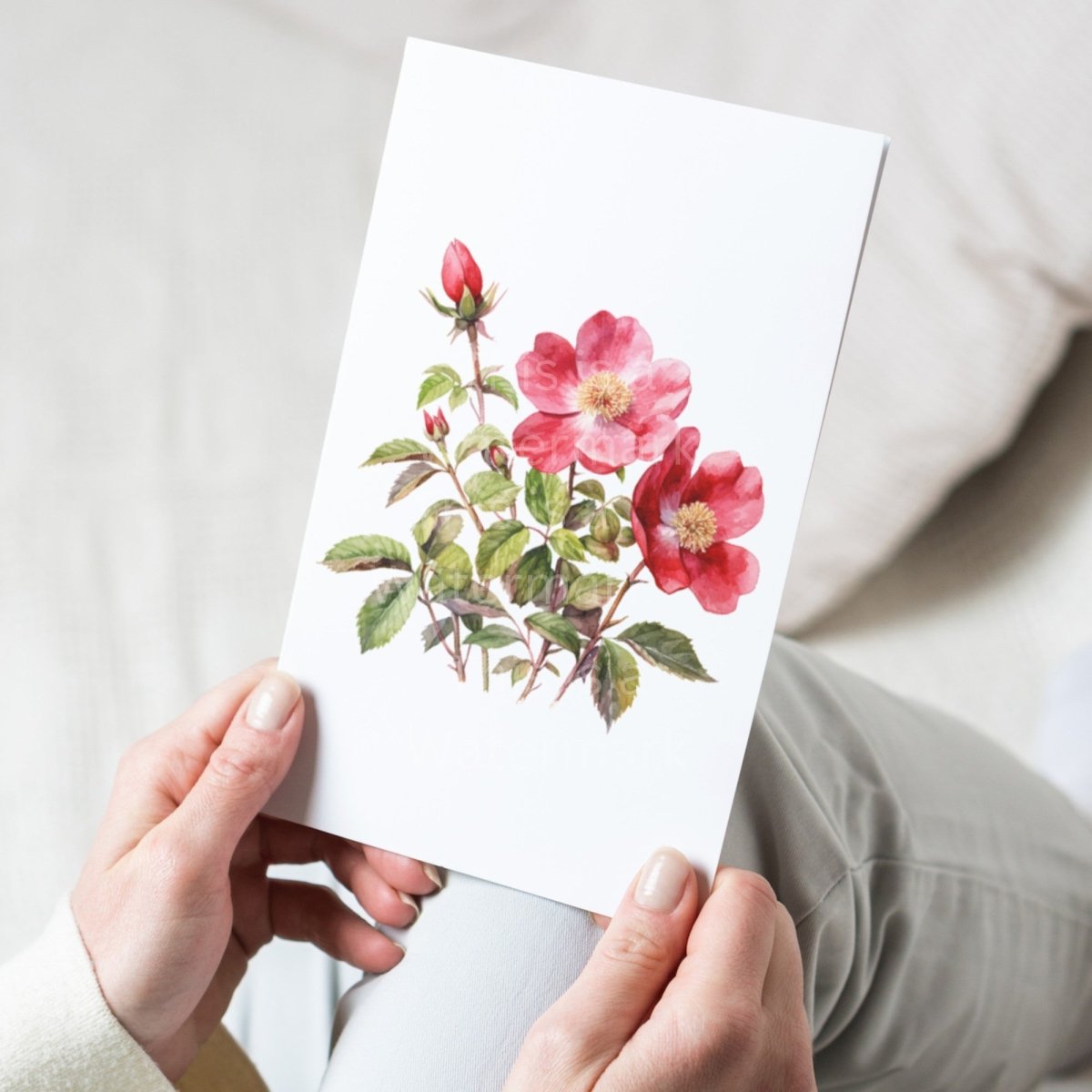 Wild Rose Watercolor PNG Bundle for Sublimation Clipart Bundle Transparent Background Wedding Clipart Mug Digital Download Commercial Use - Everything Pixel