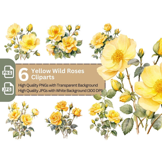 Yellow Wild Rose 6+6 PNG Bundle for Sublimation Clipart - Everything Pixel