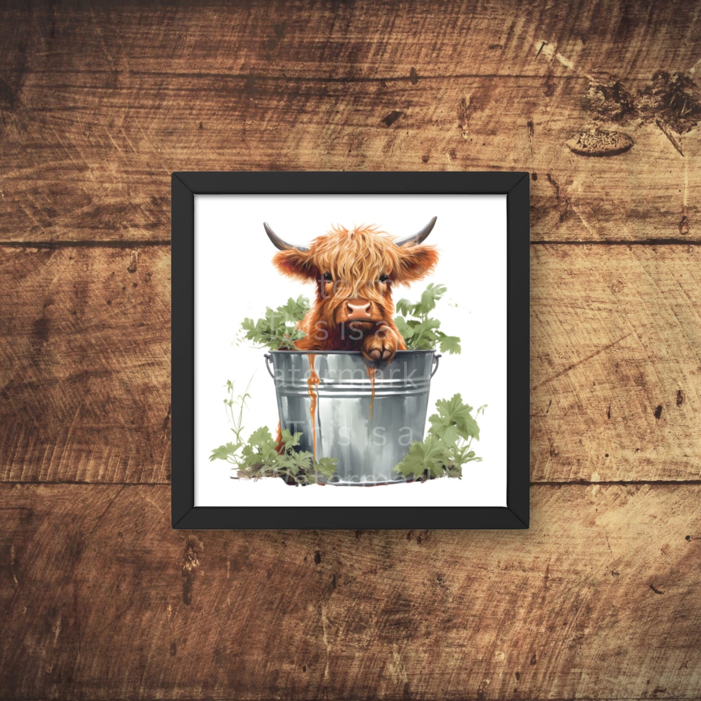 Highland Cows in Metal Bucket 6+6 PNG Bundle for Sublimation & Clipart