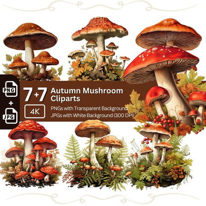 Autumn Mushroom Clipart 7+7 PNG JPG Bundle Botanical Artwork - Everything Pixel