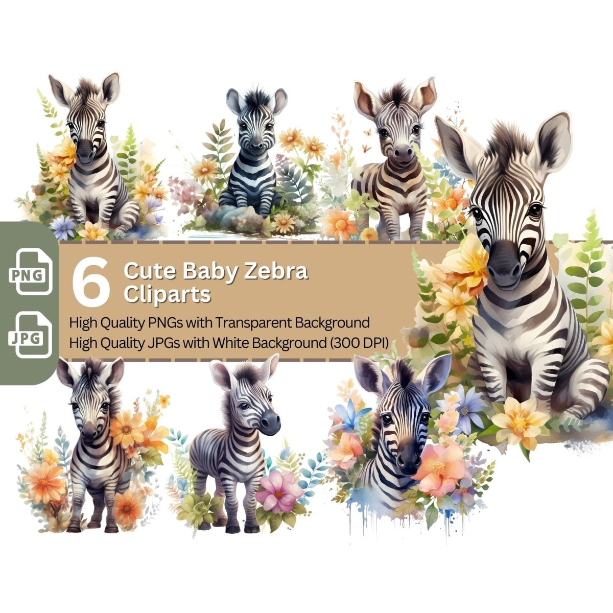 Cute Baby Zebra 6+6 PNG Clip Art Bundle Sublimation & Clipart - Everything Pixel