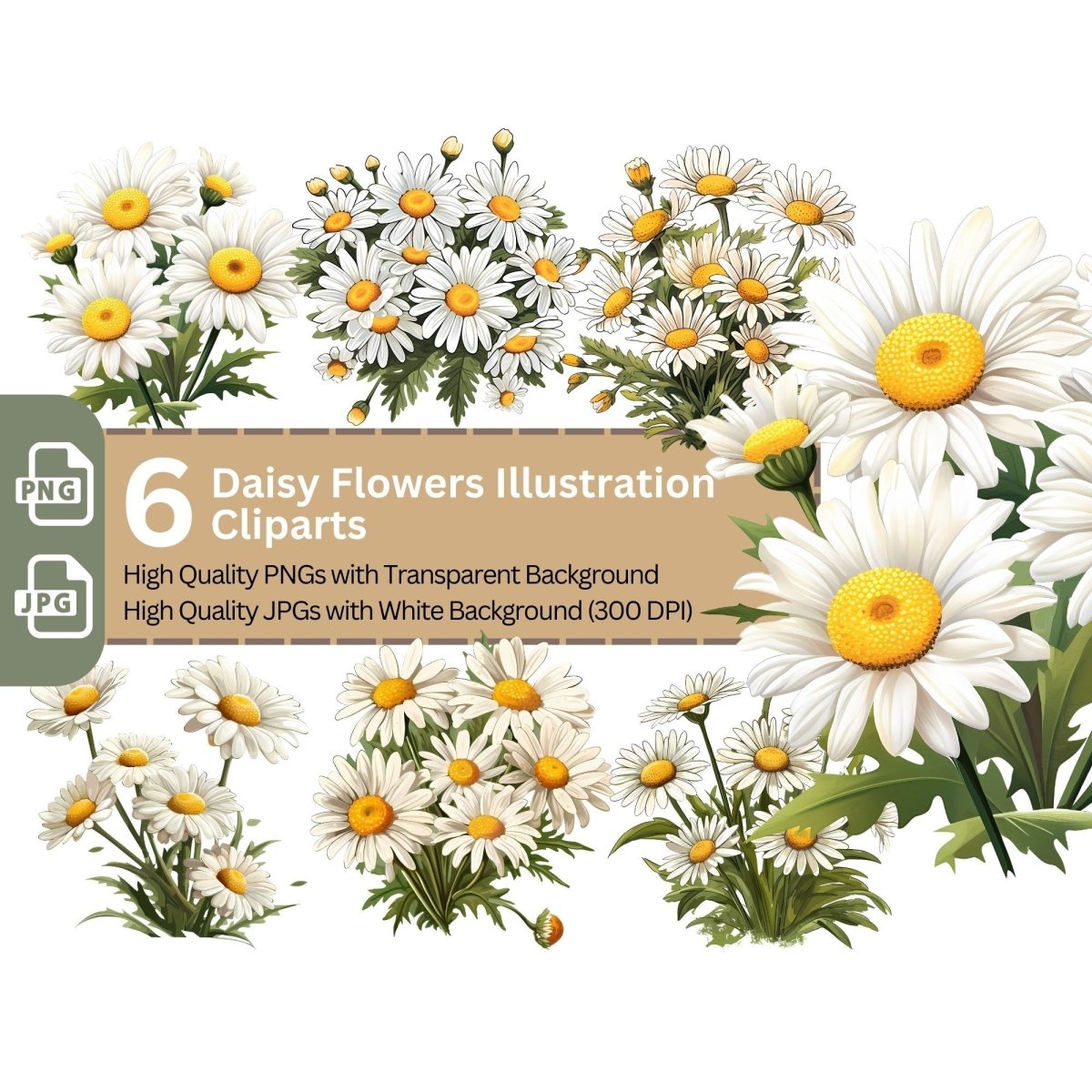 Daisy Flowers 6+6 PNG Clip Art Bundle - Everything Pixel
