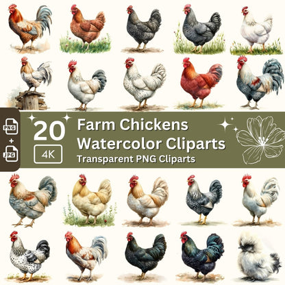 Diverse Farm Chicken Breed Clipart - 20 Transparent PNGs - Everything Pixel