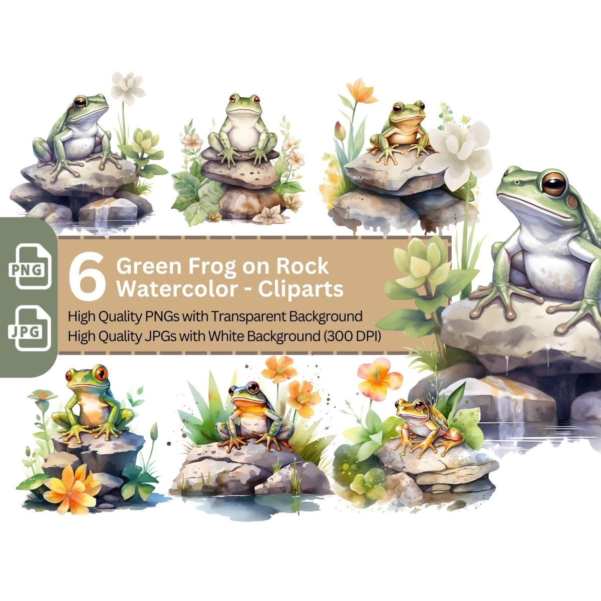 Green Frog on Rock with Flowers 6+6 PNG Clip Art Bundle - Everything Pixel