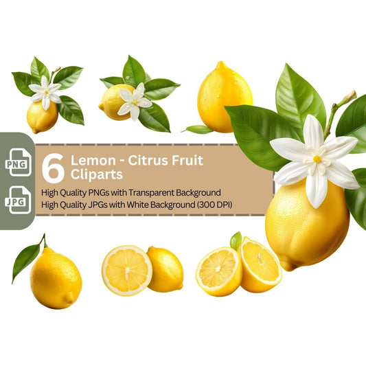 Lemon Citrus Fruit Clipart 6+6 High Quality PNGs Bundle - Everything Pixel