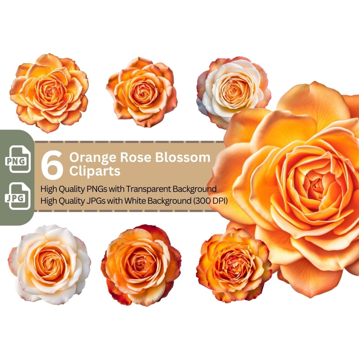 Orange Rose Blossom 6+6 PNG Bundle for Sublimation Clipart - Everything Pixel