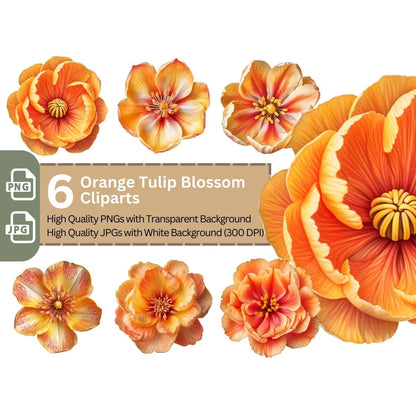 Orange Tulip Blossom 6+6 PNG Clipart Bundle, Transparent Background, Photorealistic - Everything Pixel