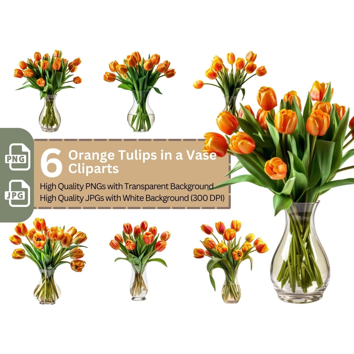 Orange Tulips in Vase 6+6 PNG Clipart Bundle, Transparent Background, Photorealistic - Everything Pixel