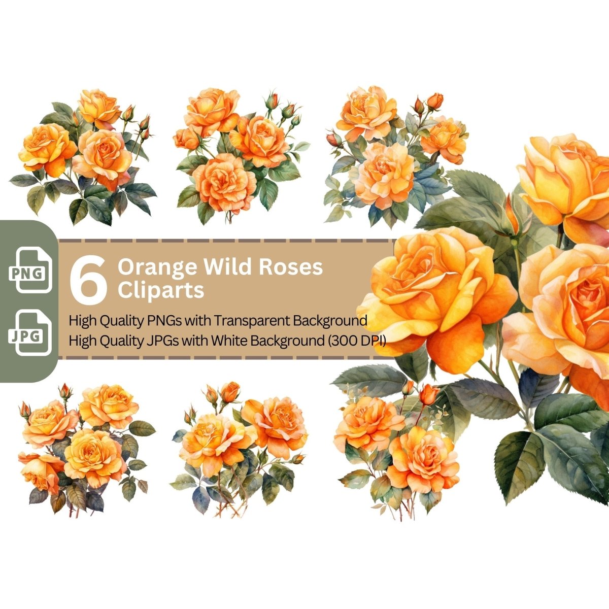 Orange Wild Rose 6+6 PNG Bundle for Sublimation Clipart - Everything Pixel
