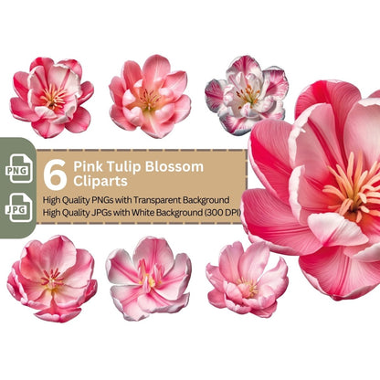 Pink Tulip Blossom 6+6 PNG Clipart Bundle, Transparent Background, Photorealistic - Everything Pixel