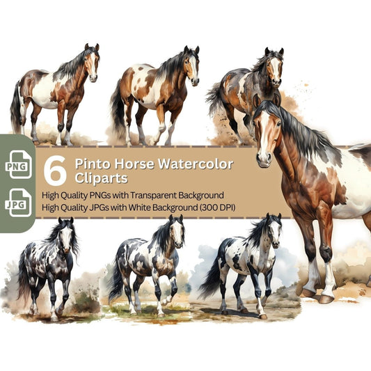 Pinto Horse Cliparts 6+6 High Quality PNGs Animal Clipart - Everything Pixel