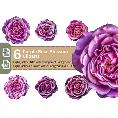 Purple Rose Blossom 6+6 PNG Bundle for Sublimation Clipart - Everything Pixel