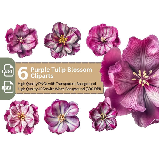 Purple Tulip Blossom 6+6 PNG Clipart Bundle, Transparent Background, Photorealistic - Everything Pixel
