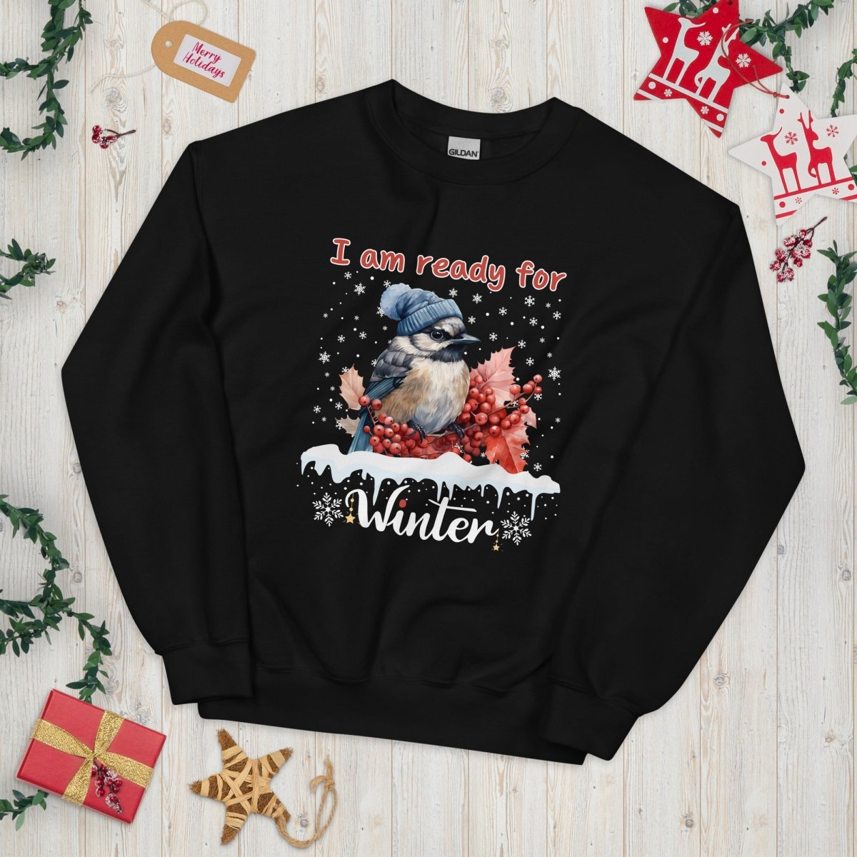 Ready for Winter Sweater - High Quality Funny Cute Bird Sweatshirt, Funny Gift for Bird Lover, Bird with Bobble Hat, Winter Season Pullover - Everything Pixel