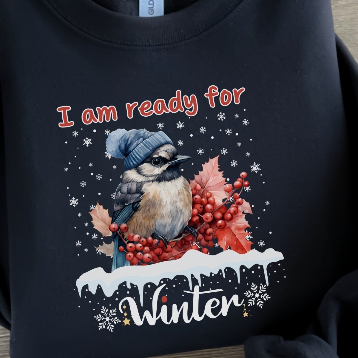Ready for Winter Sweater - High Quality Funny Cute Bird Sweatshirt, Funny Gift for Bird Lover, Bird with Bobble Hat, Winter Season Pullover - Everything Pixel