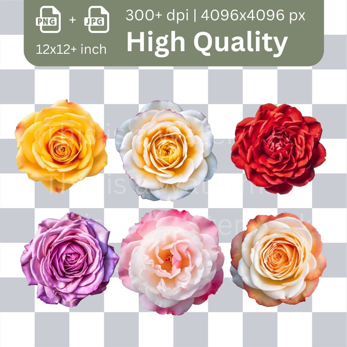 Roses Megabundle 240+240 High Quality PNGs Floral Clipart Wedding Invitation Art Card Making Clip Art Digital Paper Craft Flower Graphics - Everything Pixel